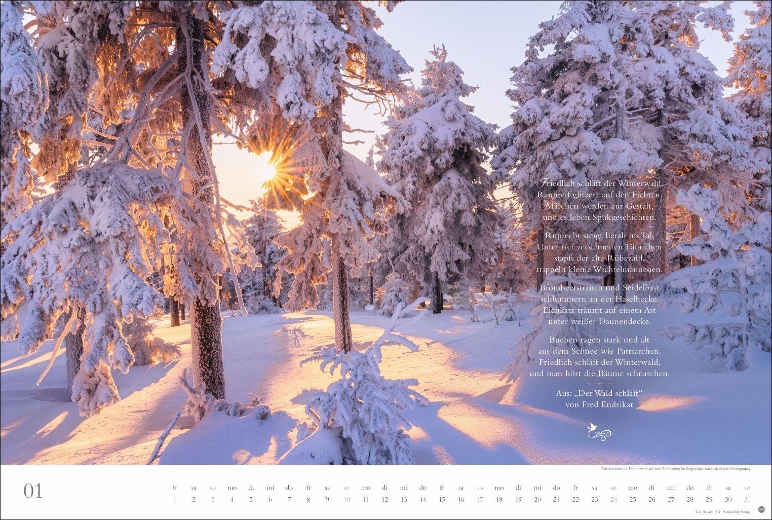 Beispielinhalt (Bild) Der deutsche Wald - Ein literarischer Spaziergang Kalender 2027 - Ein literarischer Spaziergang