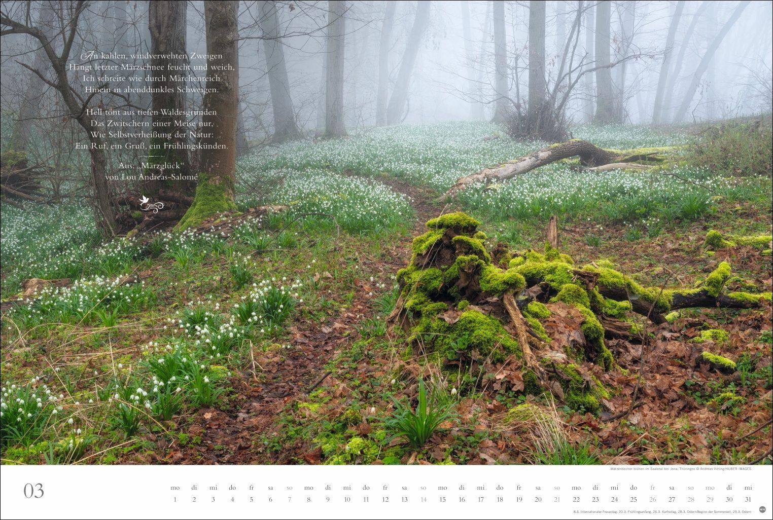 Beispielinhalt (Bild) Der deutsche Wald - Ein literarischer Spaziergang Kalender 2027 - Ein literarischer Spaziergang