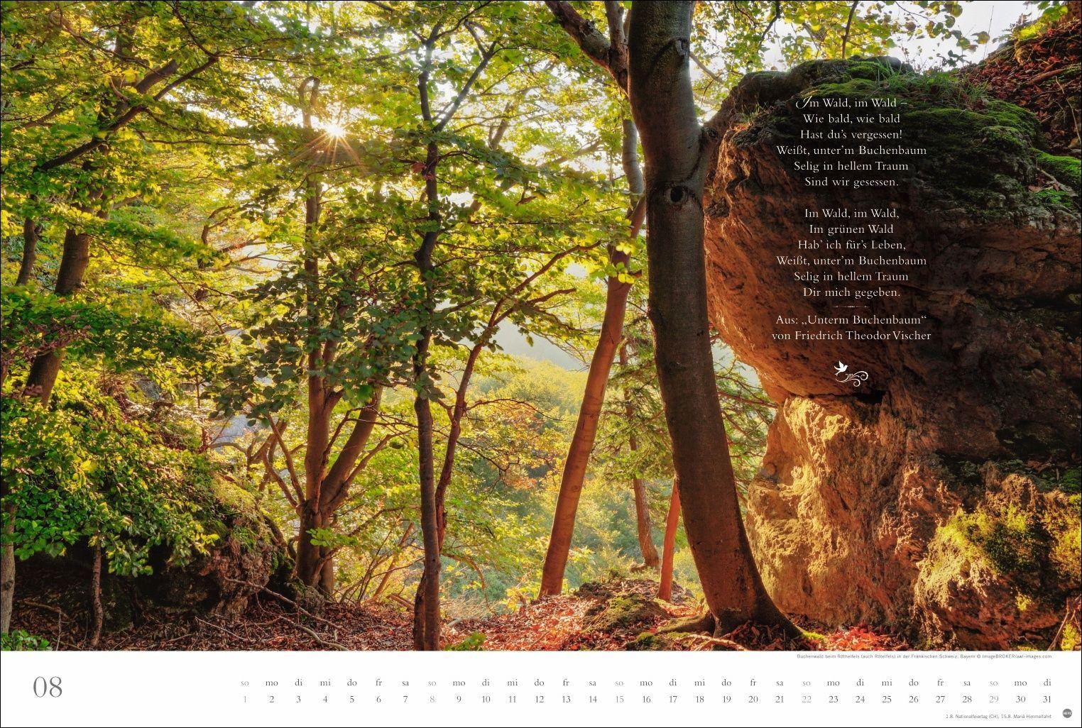 Beispielinhalt (Bild) Der deutsche Wald - Ein literarischer Spaziergang Kalender 2027 - Ein literarischer Spaziergang