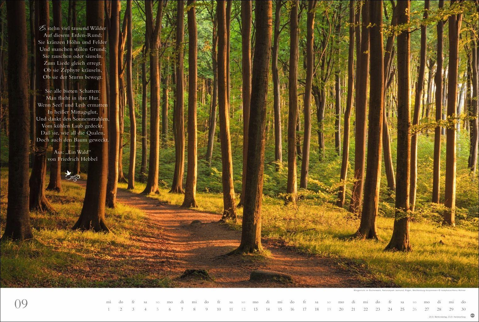 Beispielinhalt (Bild) Der deutsche Wald - Ein literarischer Spaziergang Kalender 2027 - Ein literarischer Spaziergang