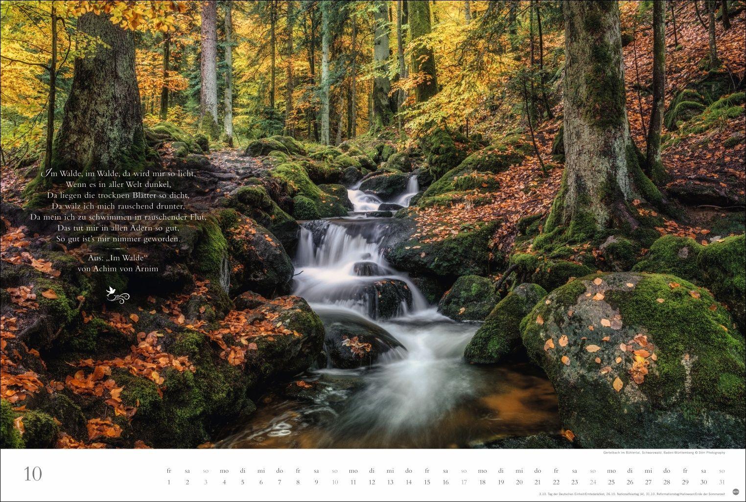 Beispielinhalt (Bild) Der deutsche Wald - Ein literarischer Spaziergang Kalender 2027 - Ein literarischer Spaziergang