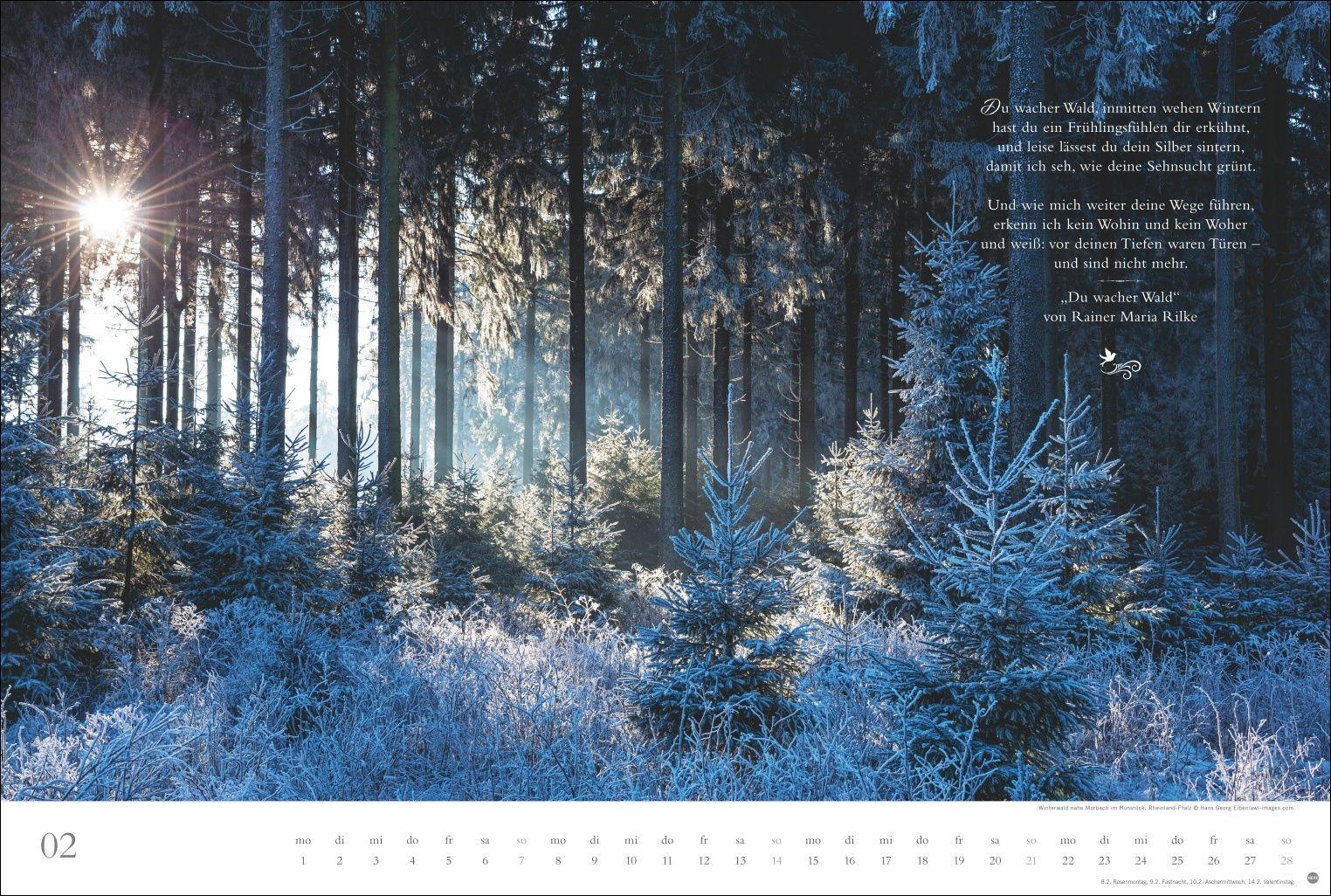 Beispielinhalt (Bild) Der deutsche Wald - Ein literarischer Spaziergang Kalender 2027 - Ein literarischer Spaziergang