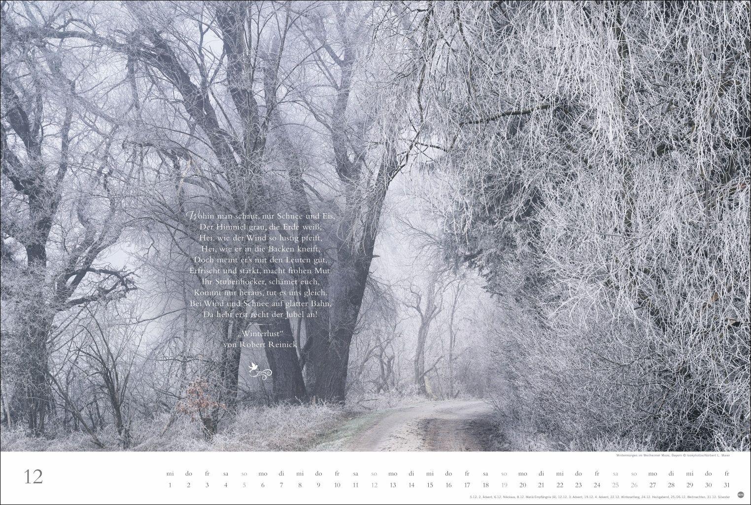 Beispielinhalt (Bild) Der deutsche Wald - Ein literarischer Spaziergang Kalender 2027 - Ein literarischer Spaziergang