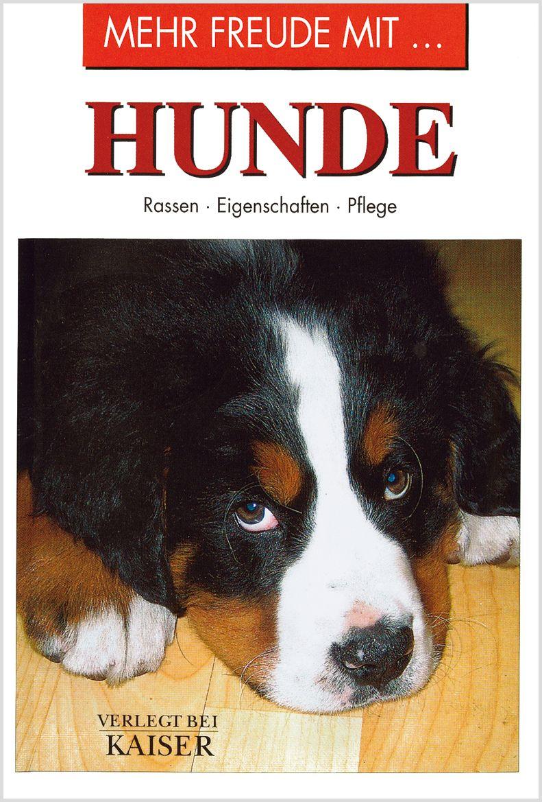 Vorderes Coverbild Mehr Freude mit ... Hunde