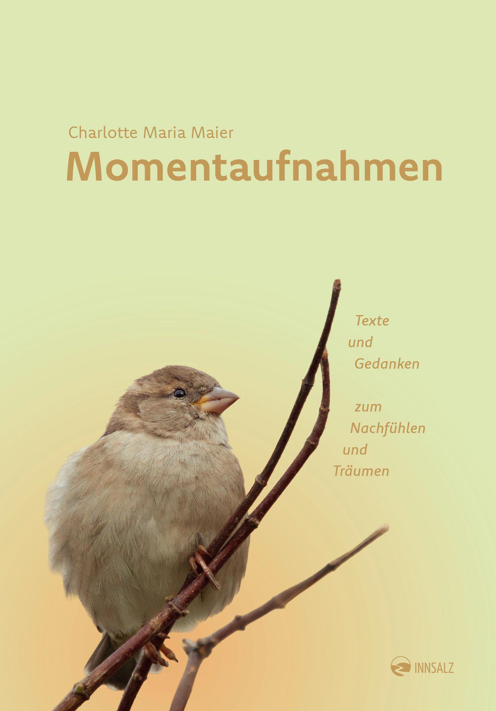 Vorderes Coverbild Momentaufnahmen