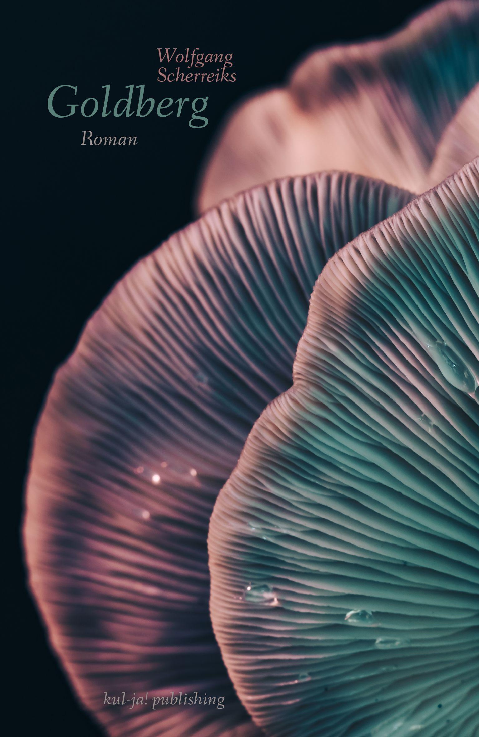 Vorderes Coverbild Goldberg