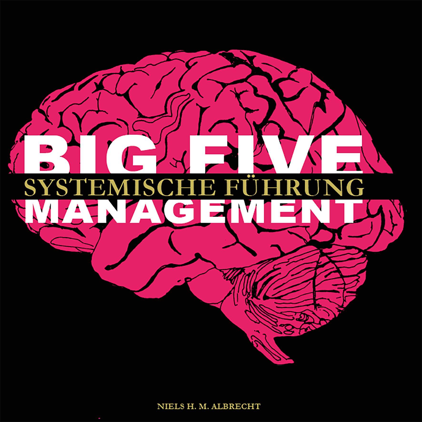 Vorderes Coverbild Big Five Management