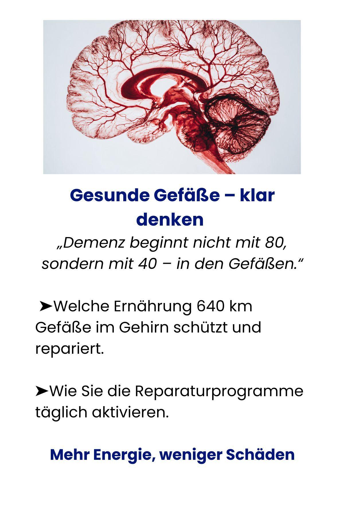 Beispielinhalt (Bild) Masterplan gegen Alzheimer. Fit im Kopf - ein Leben lang. Wie Sie frühzeitig Ihr Demenz-Risiko halbieren, Ihr Gehirn regenerieren und geistig fit bleiben. Spiegel-Bestsellerautor