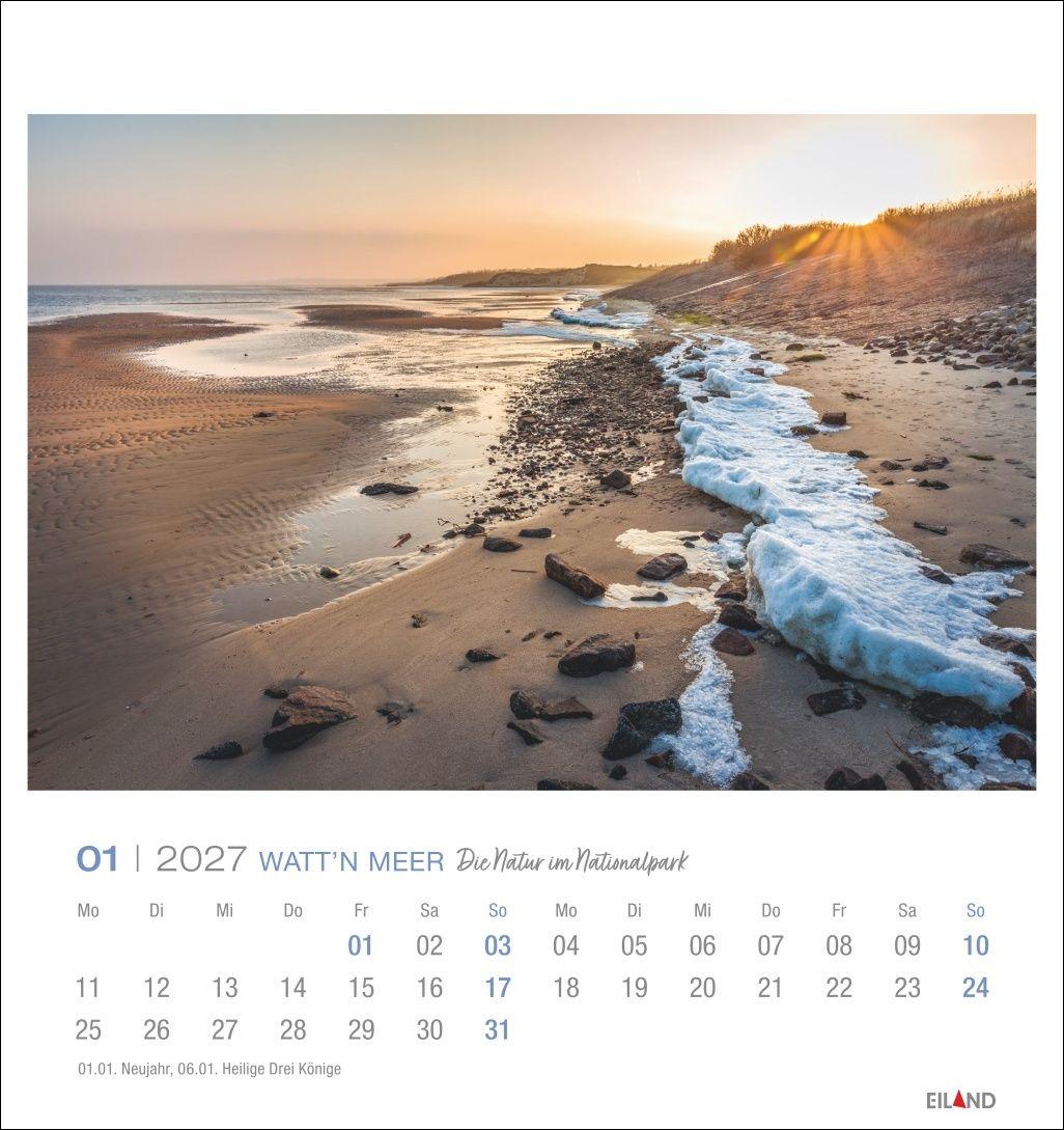 Beispielinhalt (Bild) Watt'n Meer Postkartenkalender 2027 - Die Natur im Nationalpark