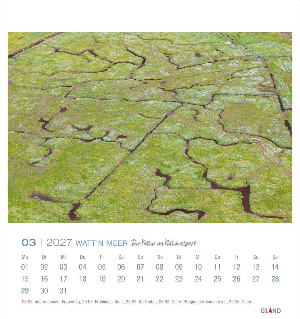 Beispielinhalt (Bild) Watt'n Meer Postkartenkalender 2027 - Die Natur im Nationalpark