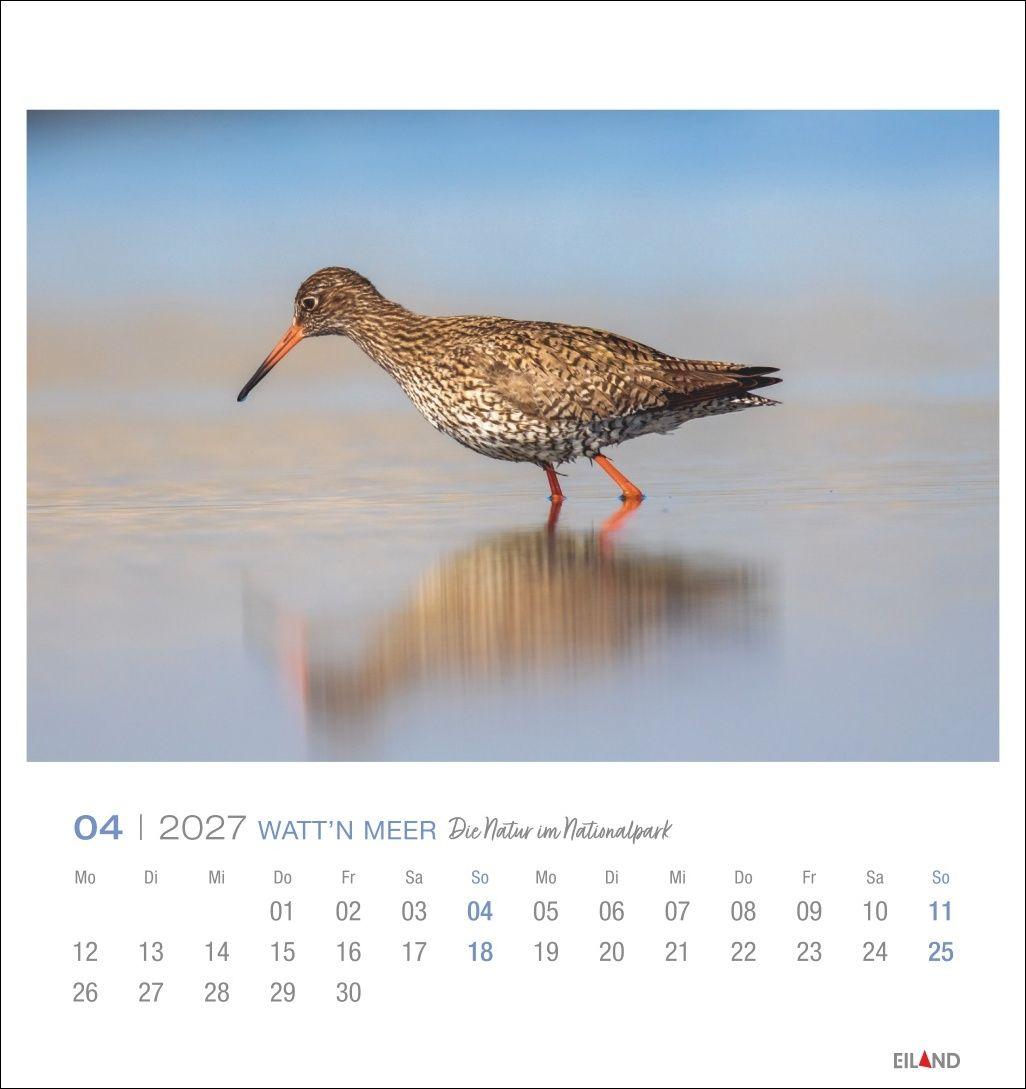 Beispielinhalt (Bild) Watt'n Meer Postkartenkalender 2027 - Die Natur im Nationalpark