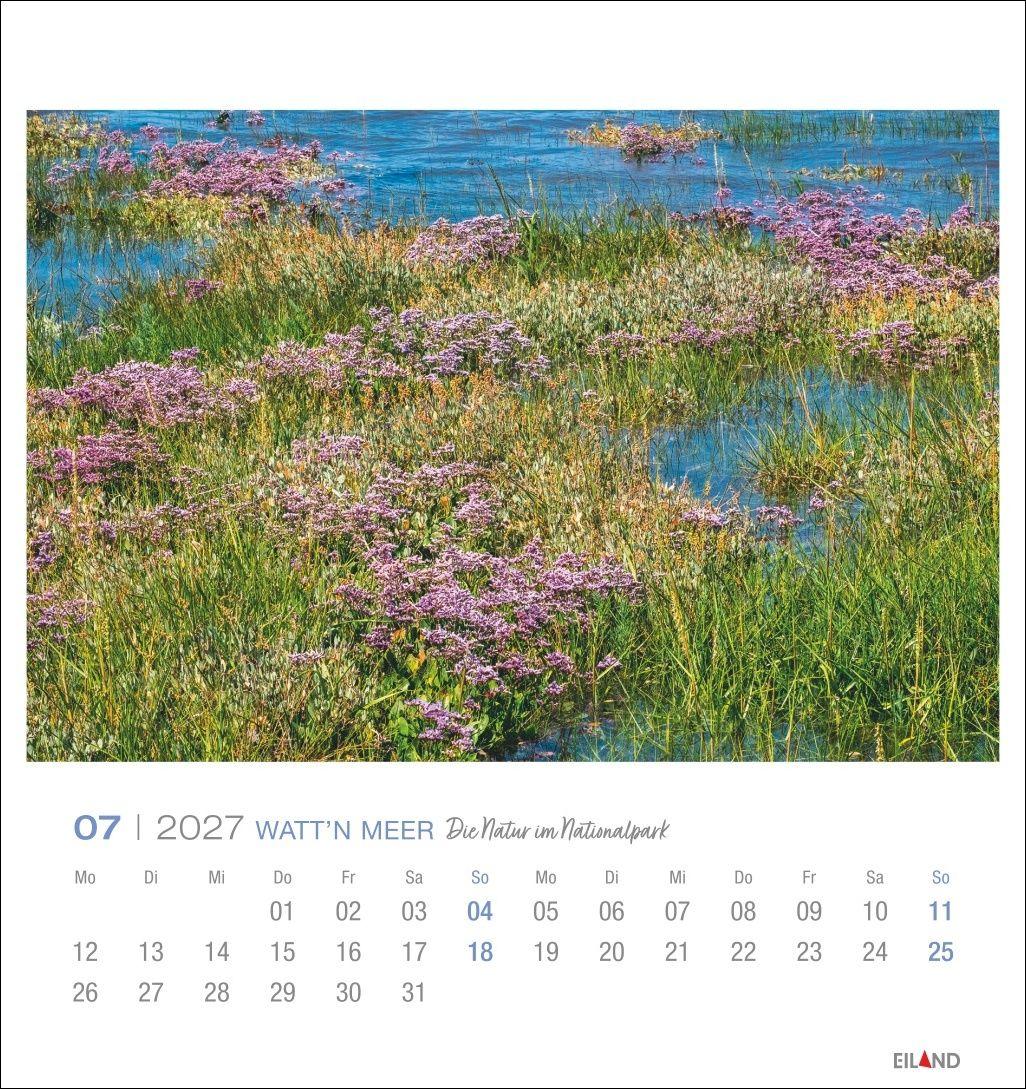Beispielinhalt (Bild) Watt'n Meer Postkartenkalender 2027 - Die Natur im Nationalpark