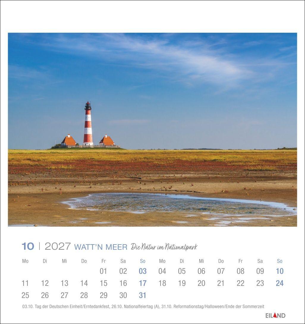 Beispielinhalt (Bild) Watt'n Meer Postkartenkalender 2027 - Die Natur im Nationalpark