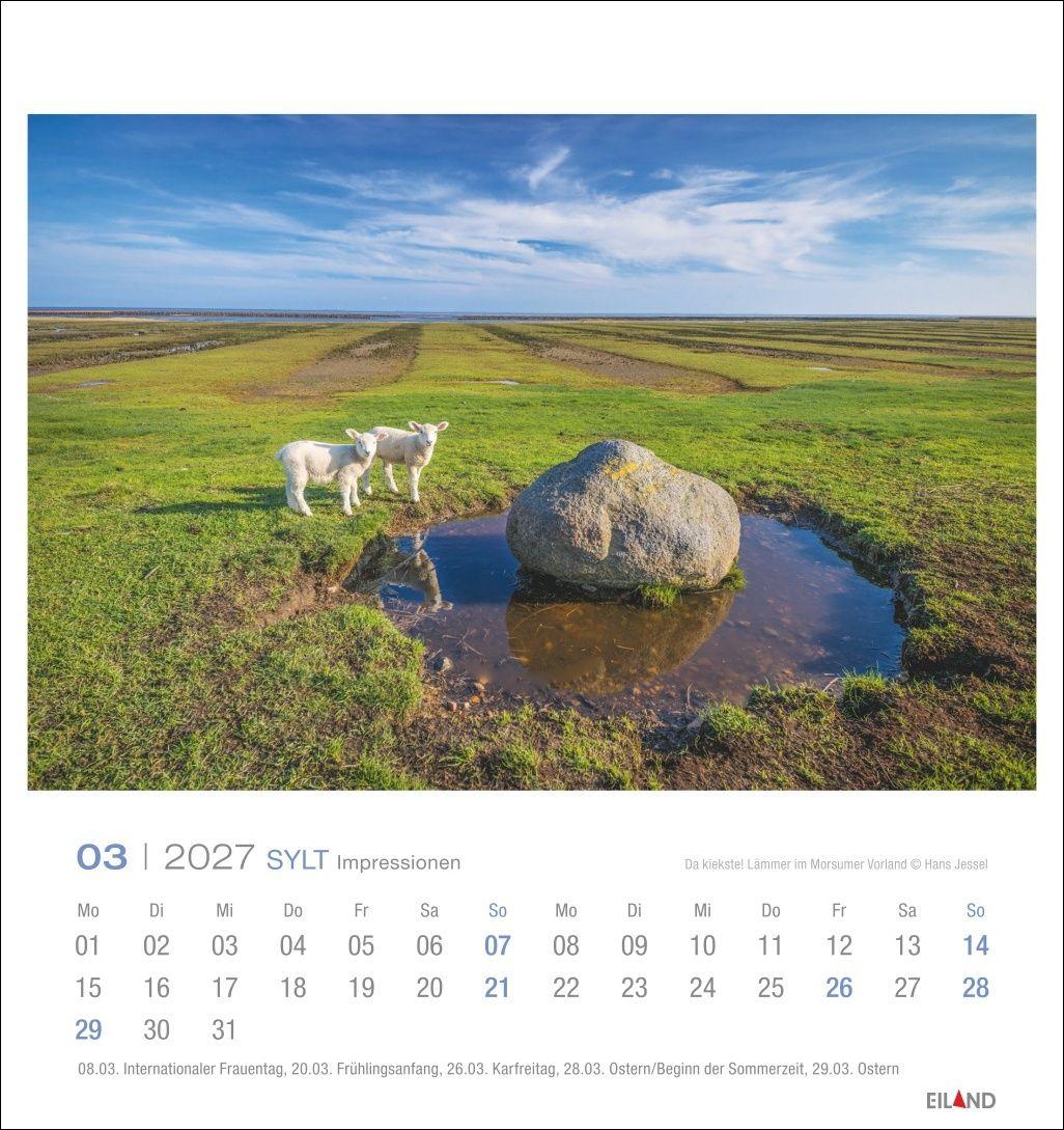 Beispielinhalt (Bild) Sylt Impressionen Postkartenkalender 2027