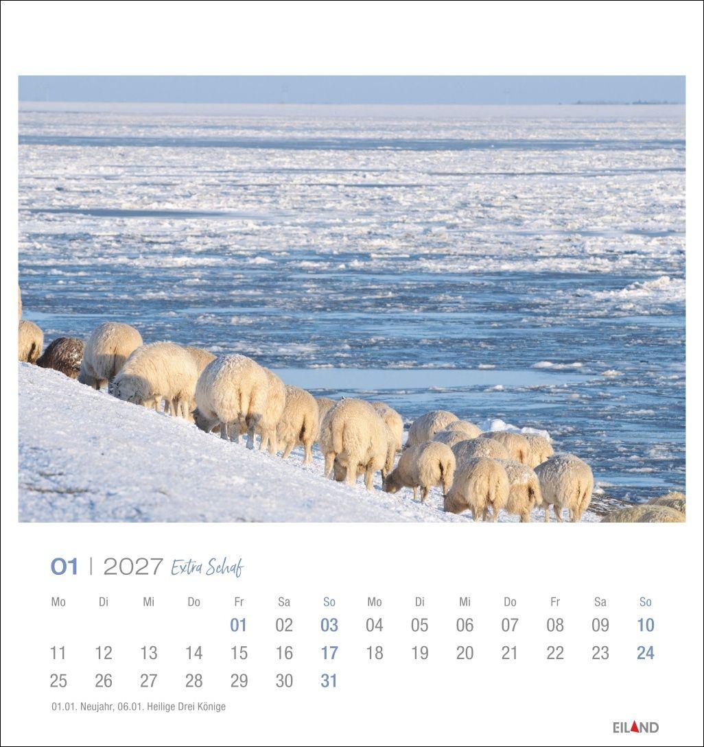 Beispielinhalt (Bild) Extra Schaf Postkartenkalender 2027