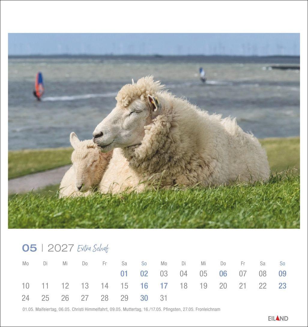 Beispielinhalt (Bild) Extra Schaf Postkartenkalender 2027