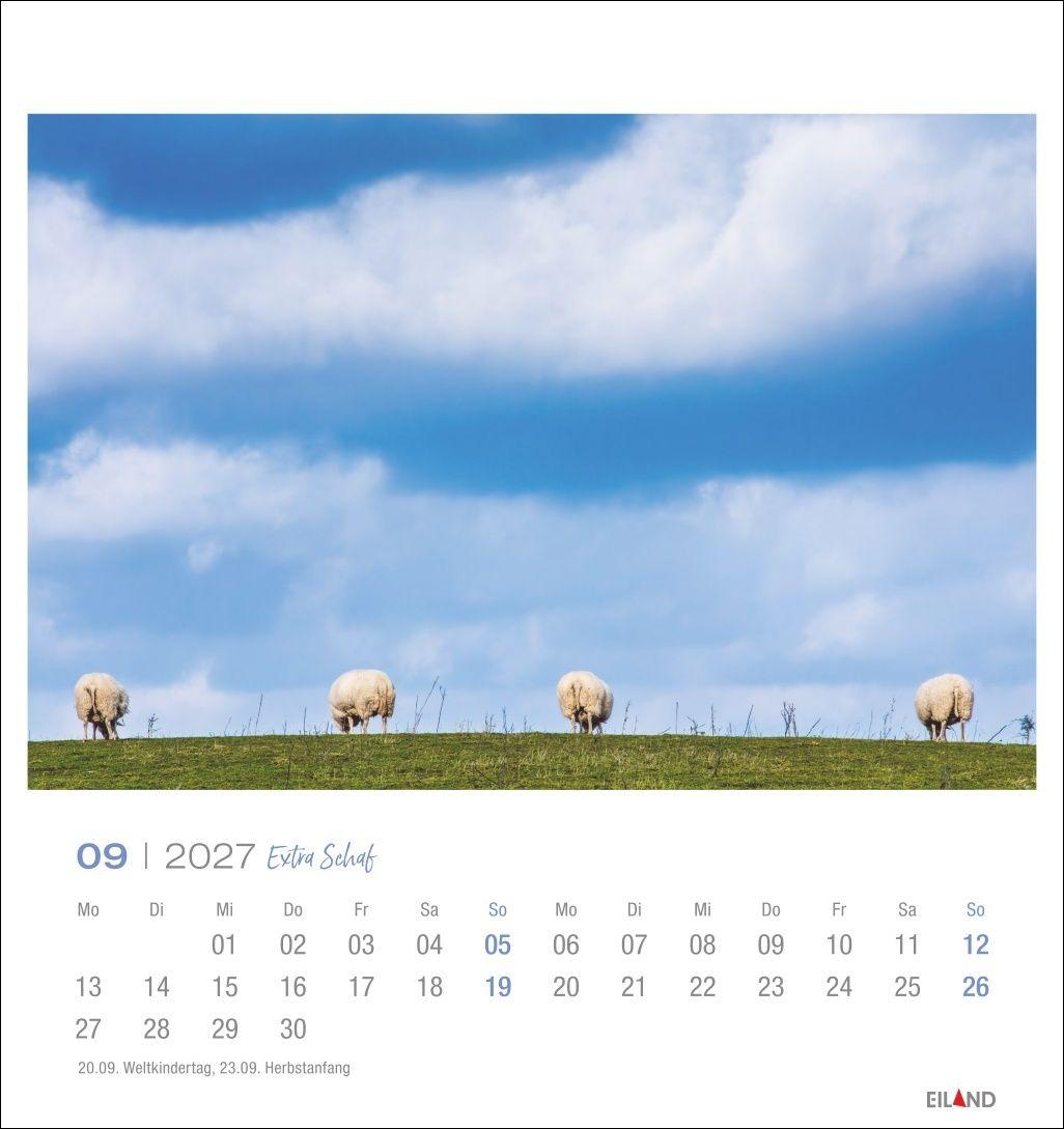 Beispielinhalt (Bild) Extra Schaf Postkartenkalender 2027