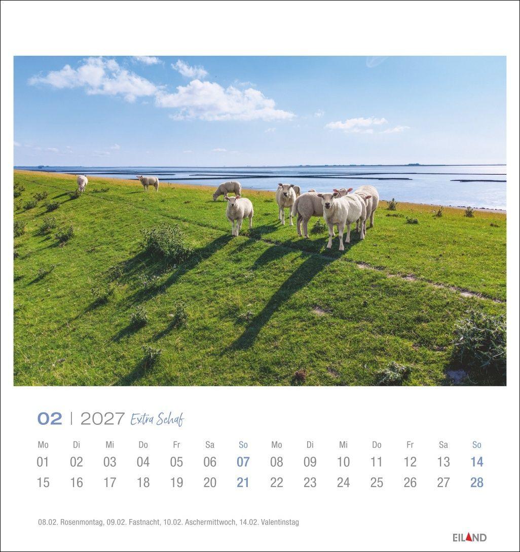Beispielinhalt (Bild) Extra Schaf Postkartenkalender 2027