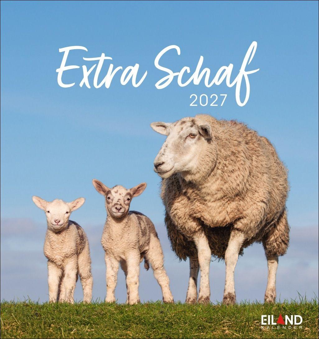 Vorderes Coverbild Extra Schaf Postkartenkalender 2027