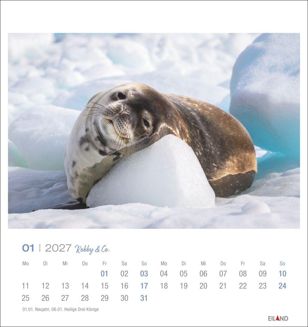 Beispielinhalt (Bild) Robby & Co. Postkartenkalender 2027