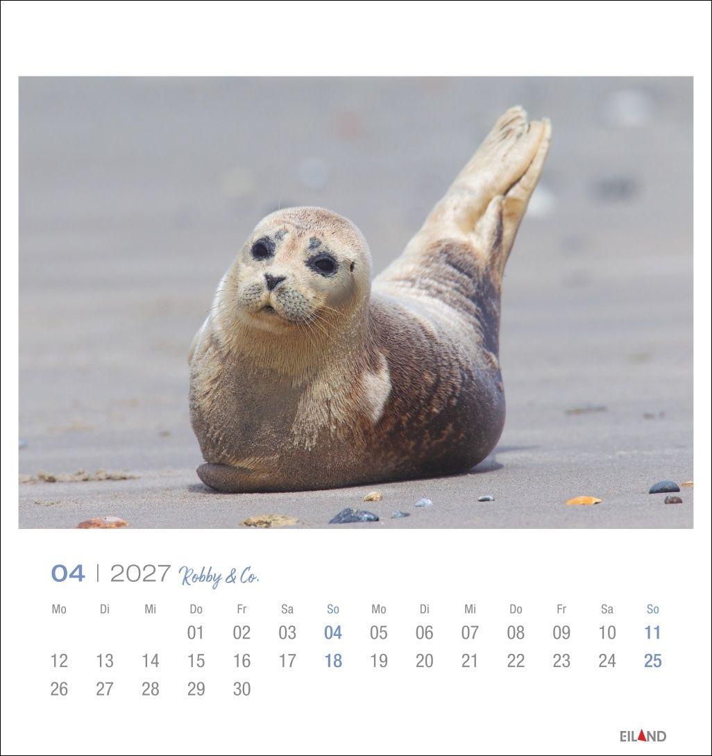 Beispielinhalt (Bild) Robby & Co. Postkartenkalender 2027