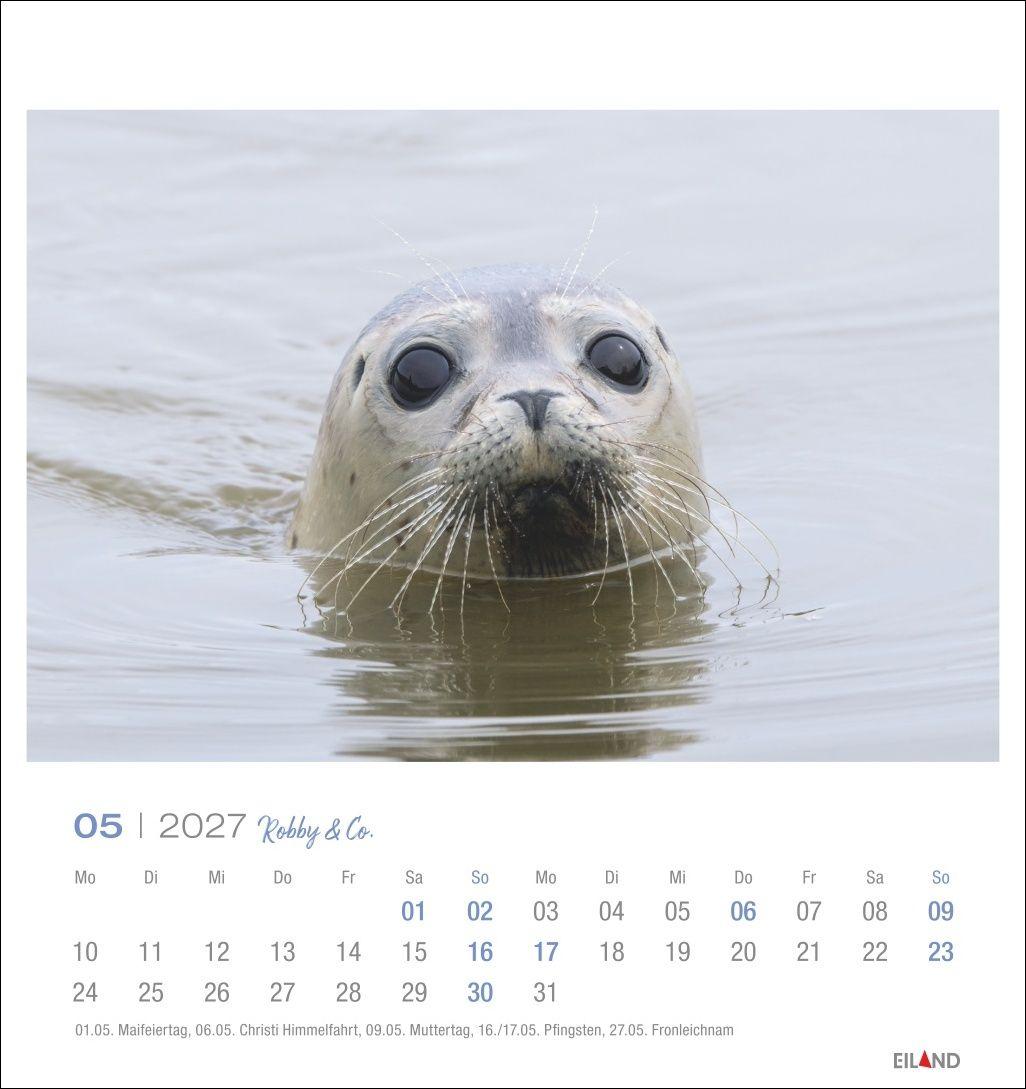 Beispielinhalt (Bild) Robby & Co. Postkartenkalender 2027