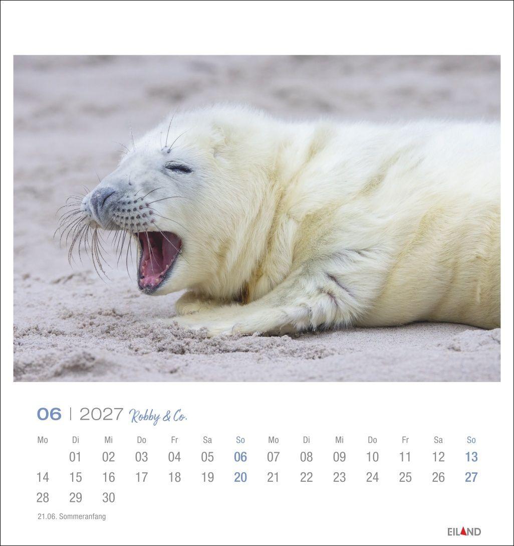 Beispielinhalt (Bild) Robby & Co. Postkartenkalender 2027