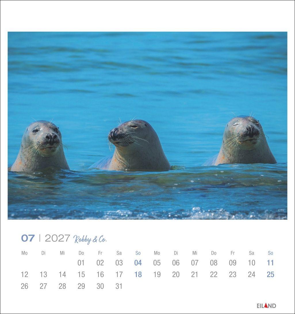 Beispielinhalt (Bild) Robby & Co. Postkartenkalender 2027