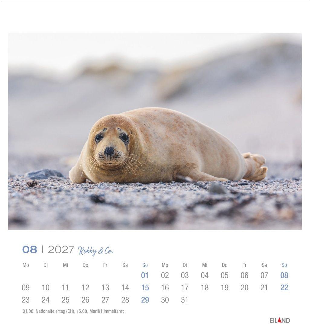 Beispielinhalt (Bild) Robby & Co. Postkartenkalender 2027