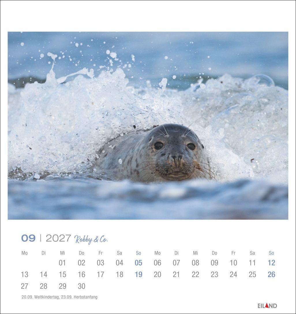 Beispielinhalt (Bild) Robby & Co. Postkartenkalender 2027