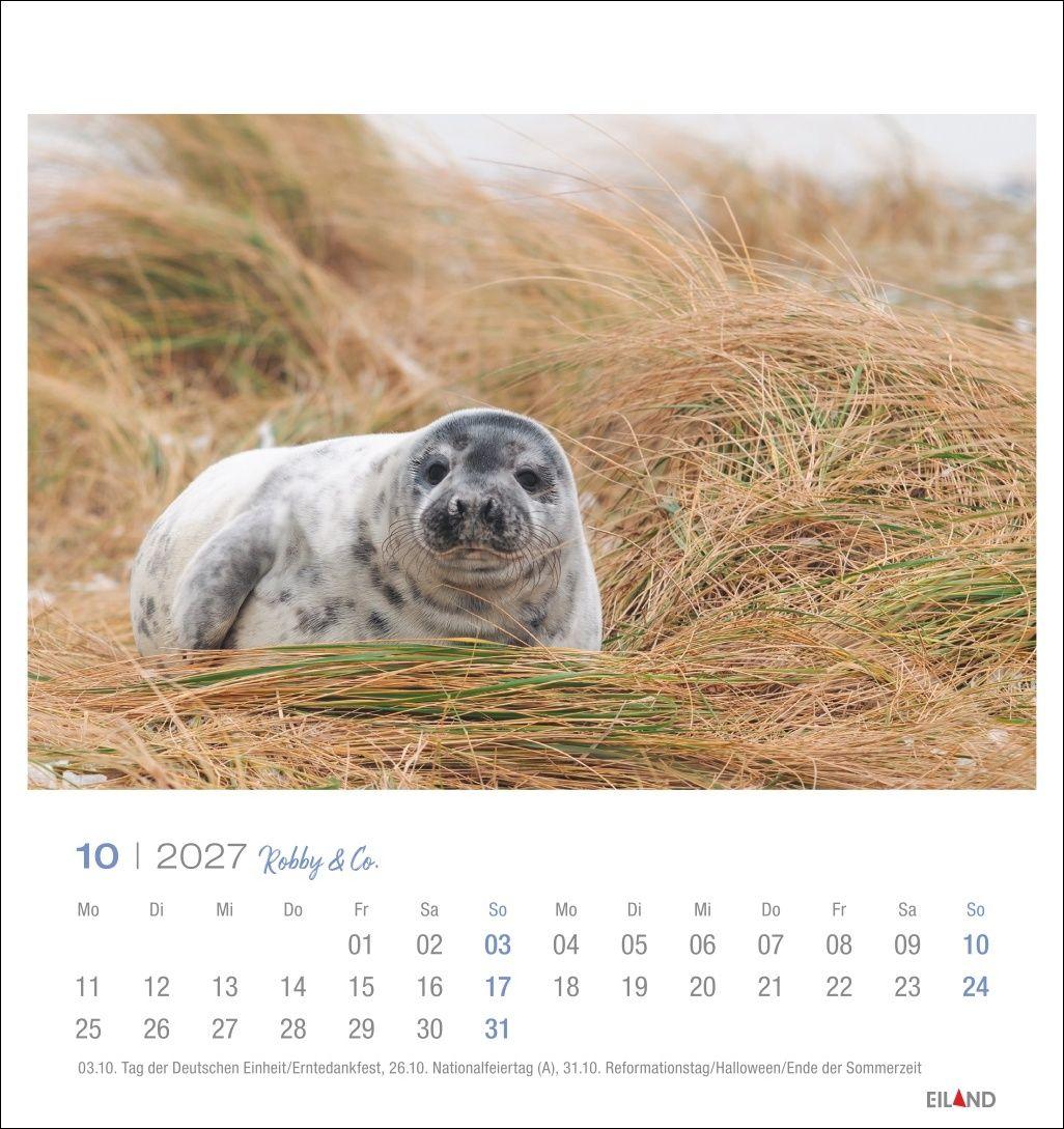Beispielinhalt (Bild) Robby & Co. Postkartenkalender 2027