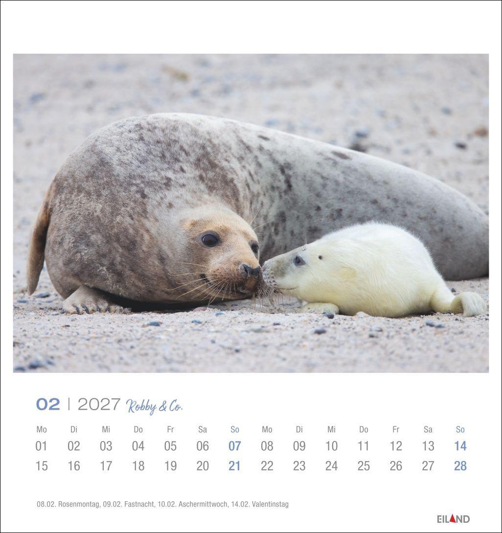 Beispielinhalt (Bild) Robby & Co. Postkartenkalender 2027