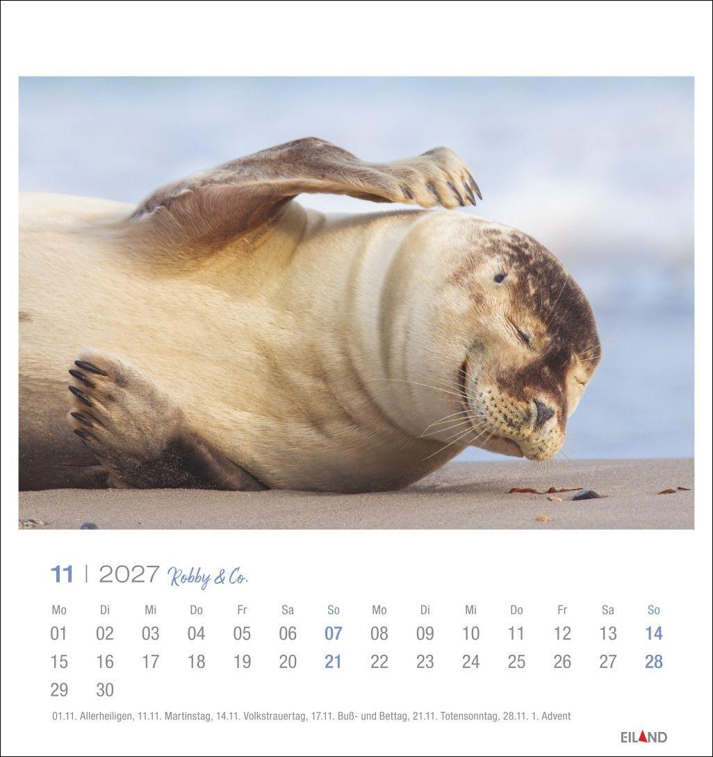 Beispielinhalt (Bild) Robby & Co. Postkartenkalender 2027