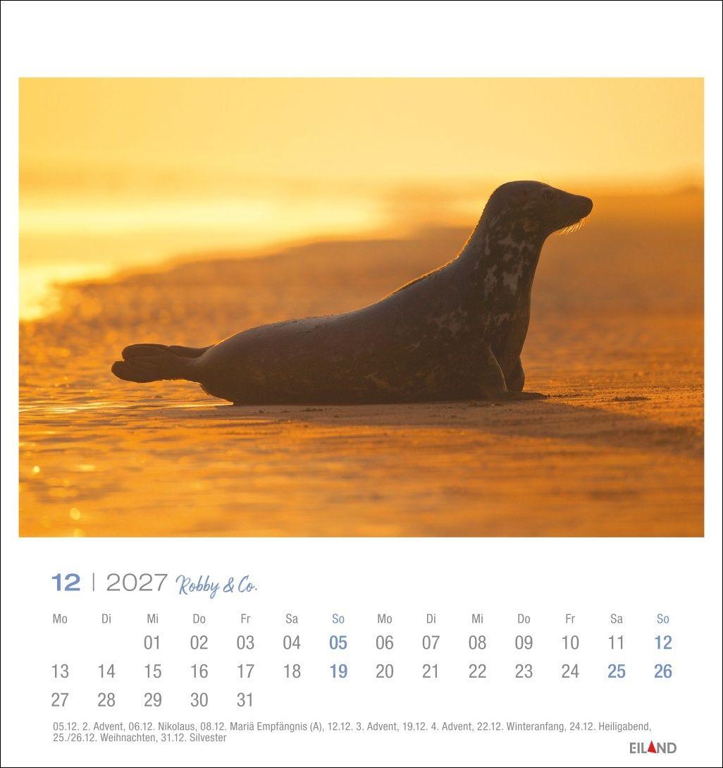 Beispielinhalt (Bild) Robby & Co. Postkartenkalender 2027