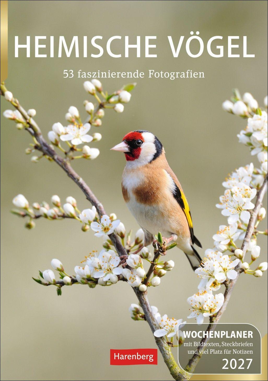 Vorderes Coverbild Heimische Vögel Wochenplaner 2027 - 53 faszinierende Fotografien