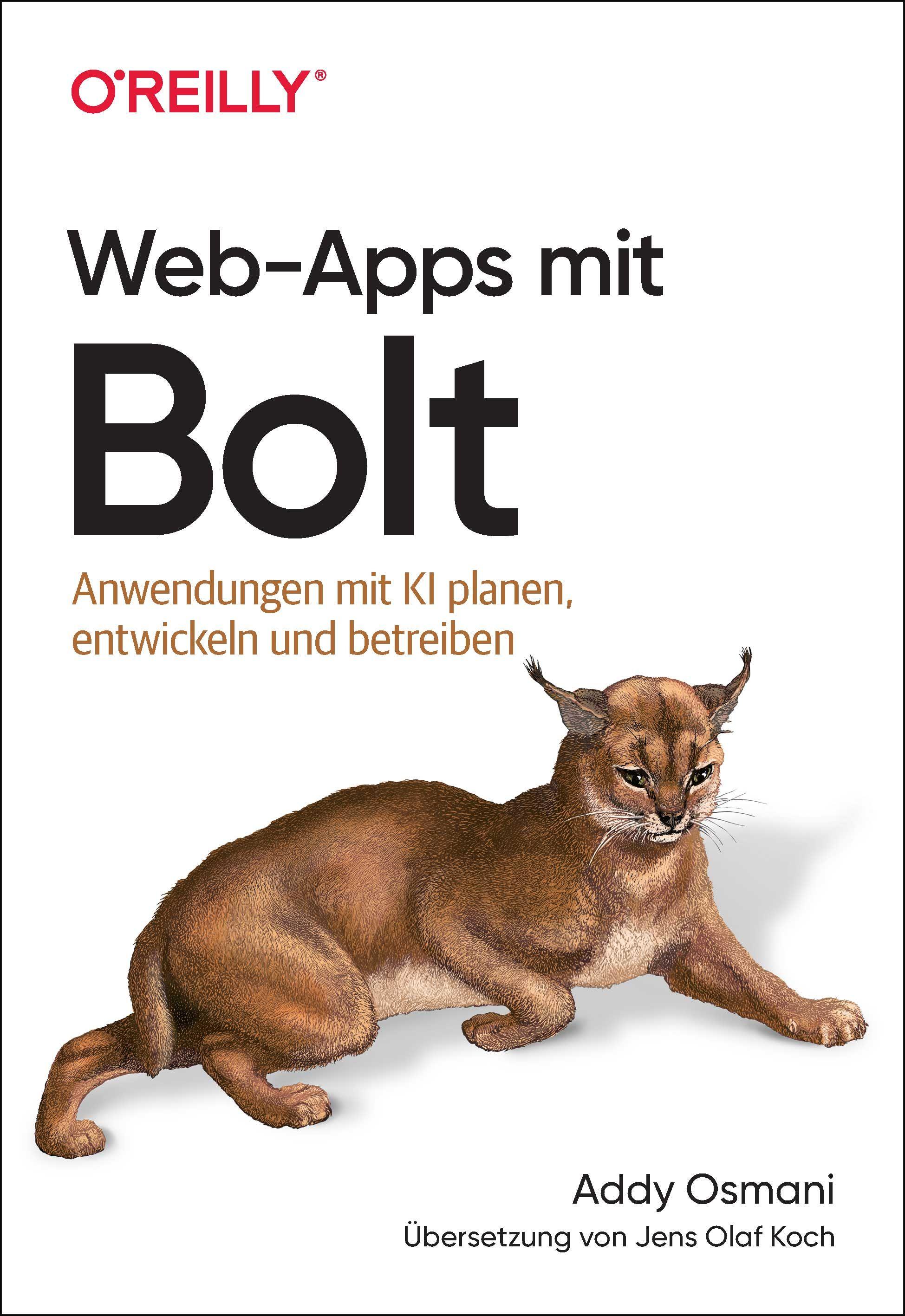 Vorderes Coverbild Web-Apps mit Bolt