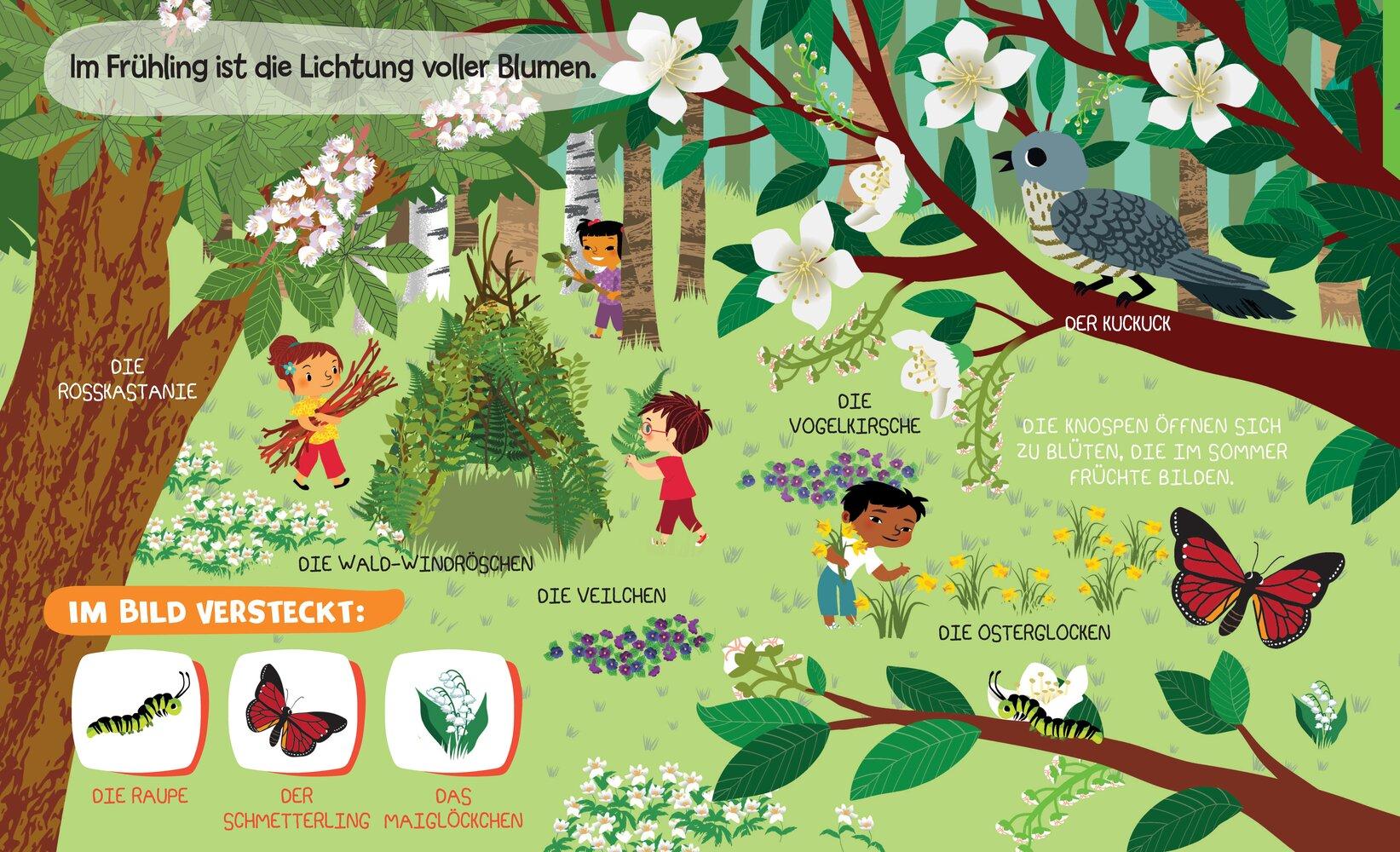 Beispielinhalt (Bild) Mein Entdecker-Soundbuch - Wald