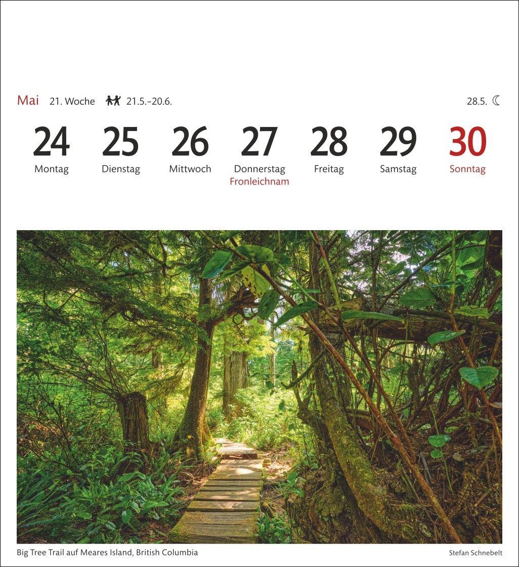 Beispielinhalt (Bild) Kanada Sehnsuchtskalender 2027 - Wochenkalender mit 53 Postkarten