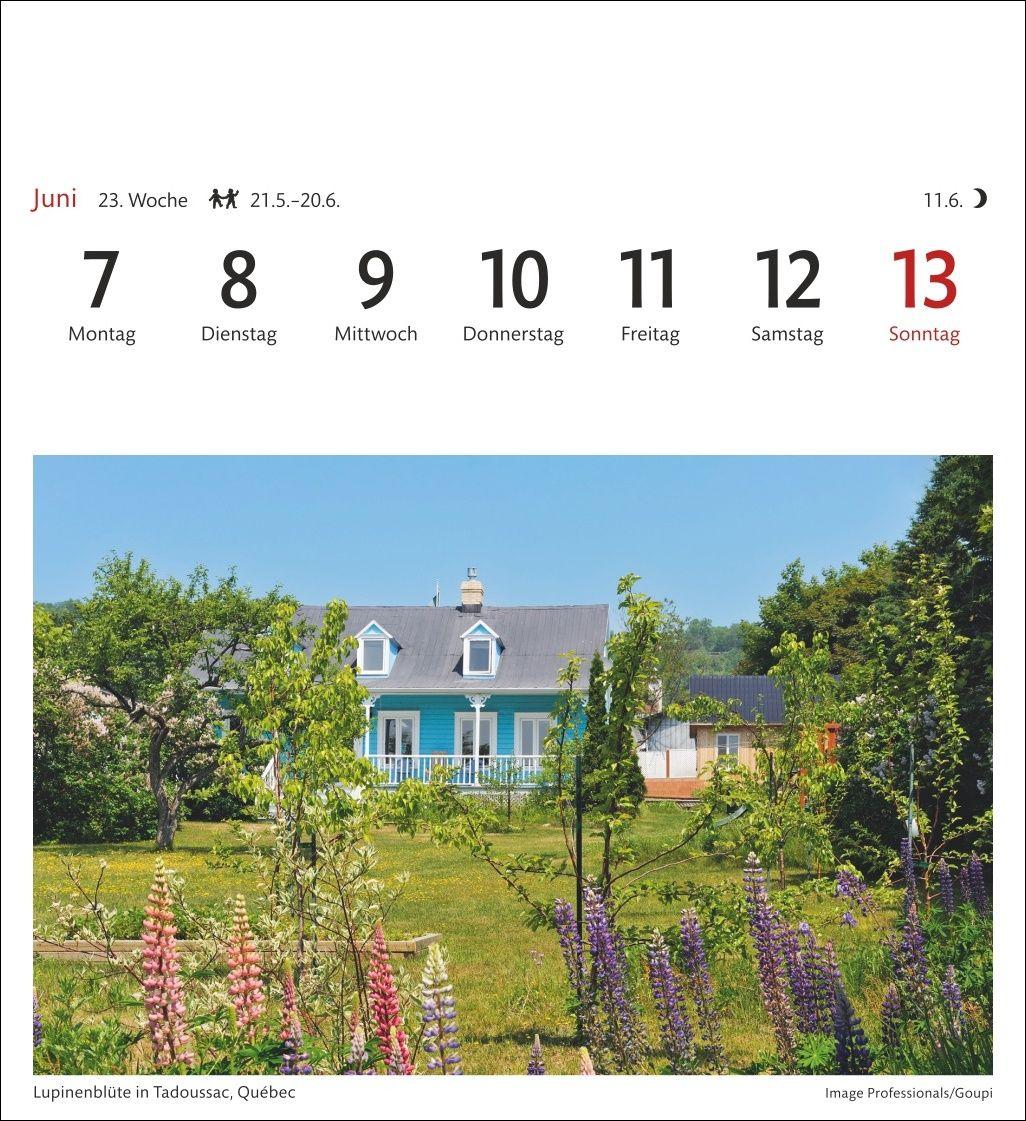 Beispielinhalt (Bild) Kanada Sehnsuchtskalender 2027 - Wochenkalender mit 53 Postkarten