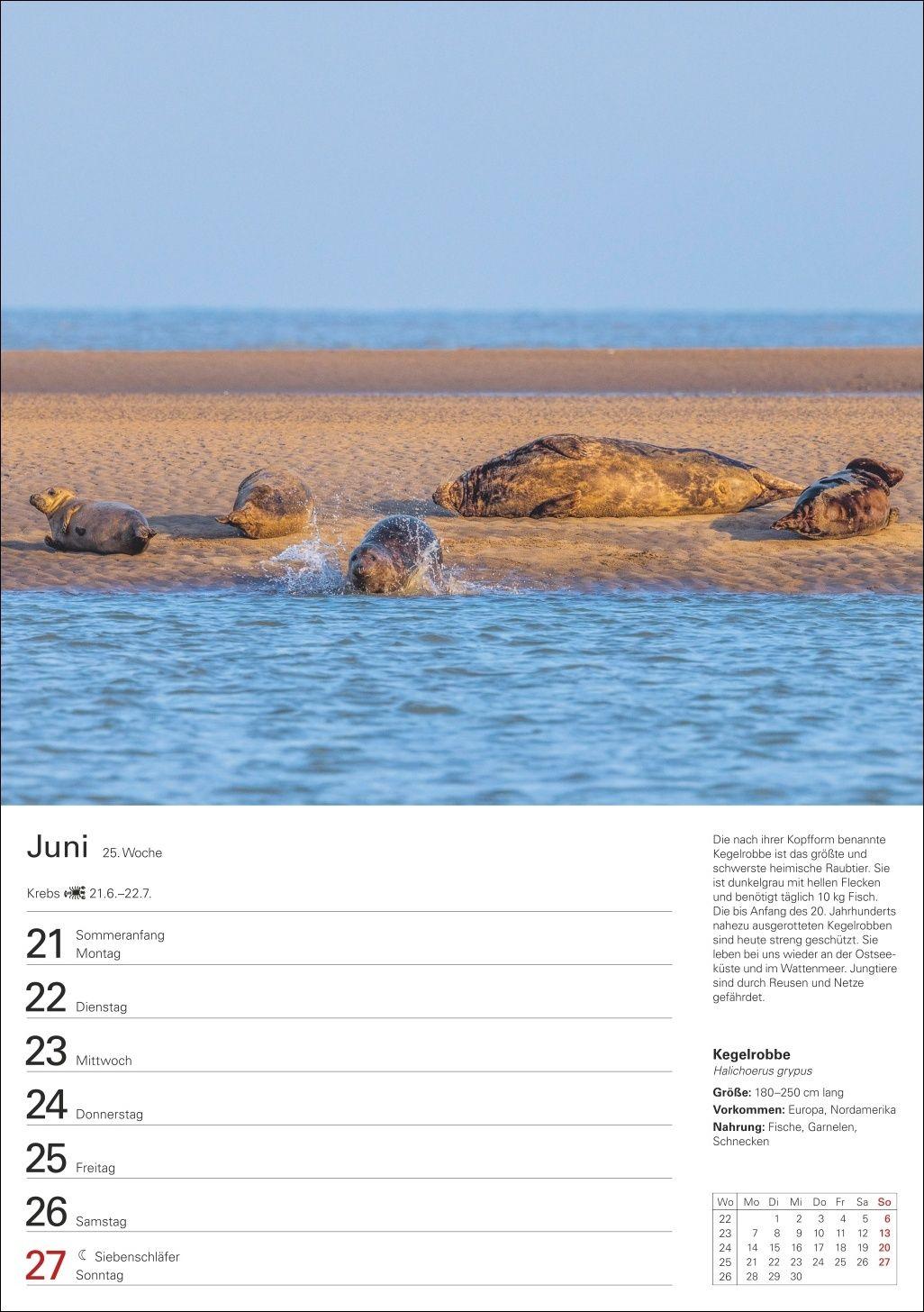 Beispielinhalt (Bild) Heimische Tiere Wochenplaner 2027 - 53 faszinierende Fotografien