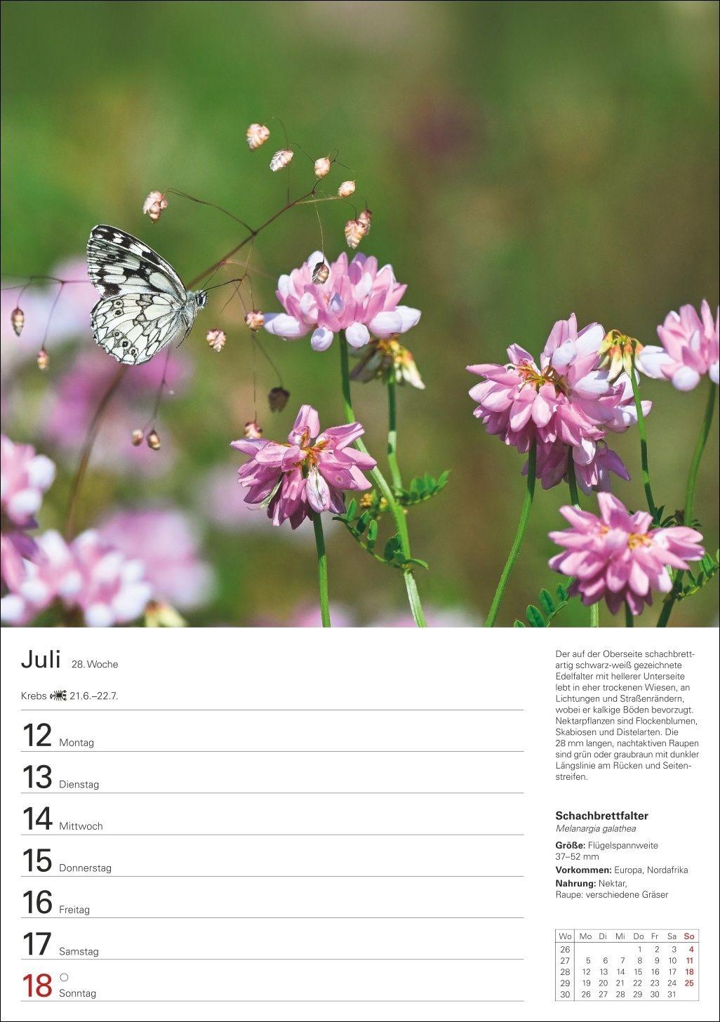 Beispielinhalt (Bild) Heimische Tiere Wochenplaner 2027 - 53 faszinierende Fotografien