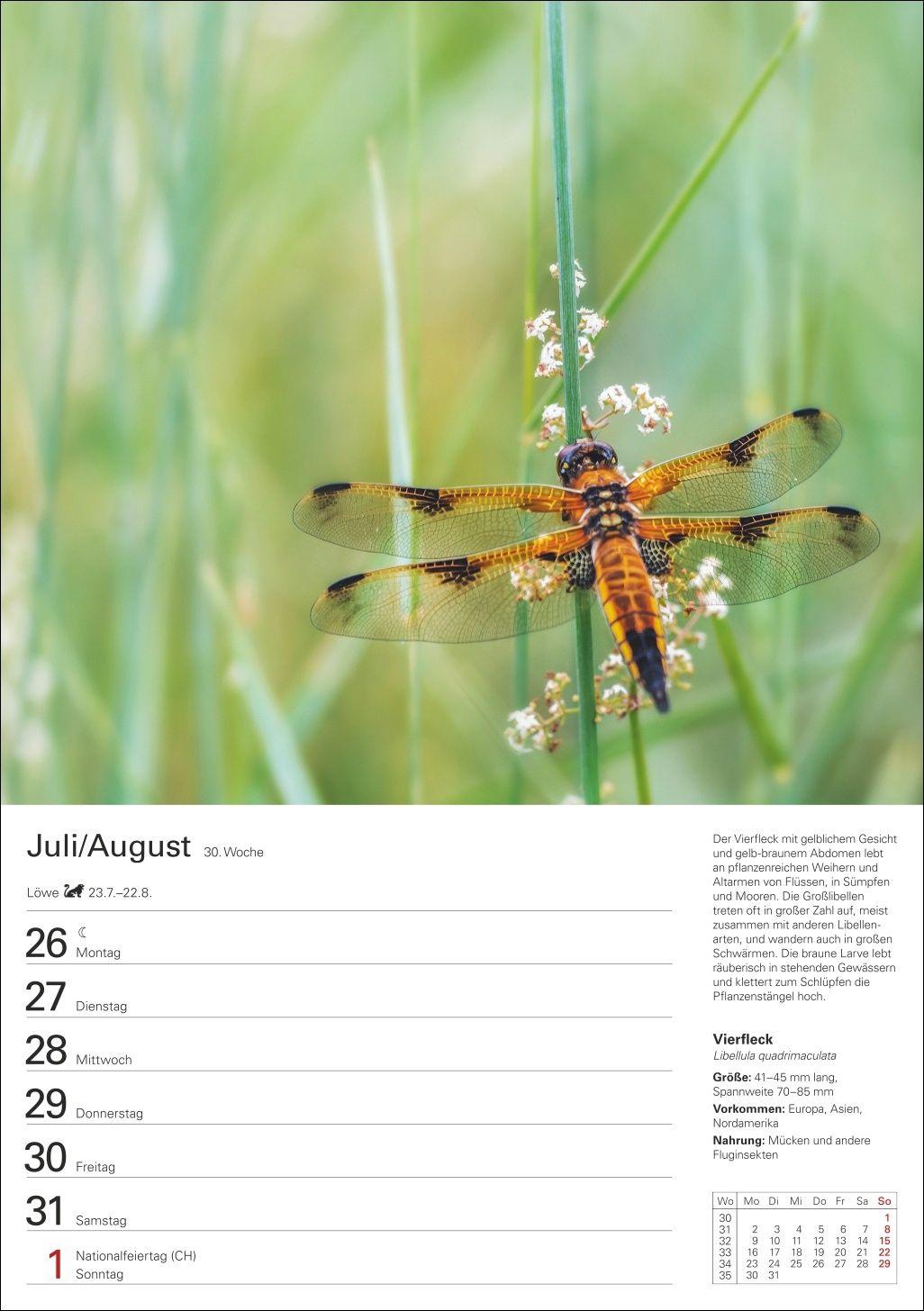 Beispielinhalt (Bild) Heimische Tiere Wochenplaner 2027 - 53 faszinierende Fotografien