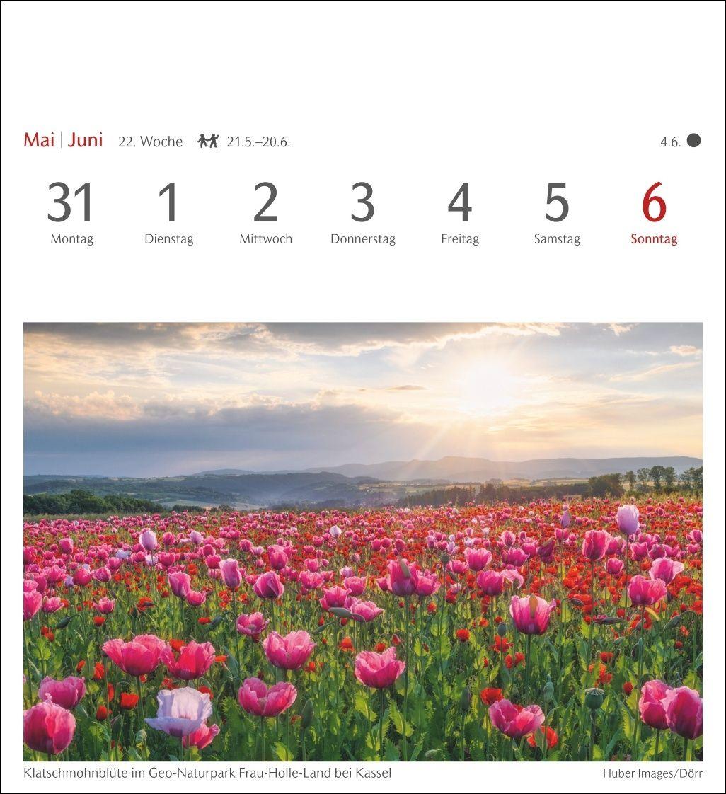 Beispielinhalt (Bild) Lichtblicke Postkartenkalender 2027 - Wochenkalender mit 53 Postkarten