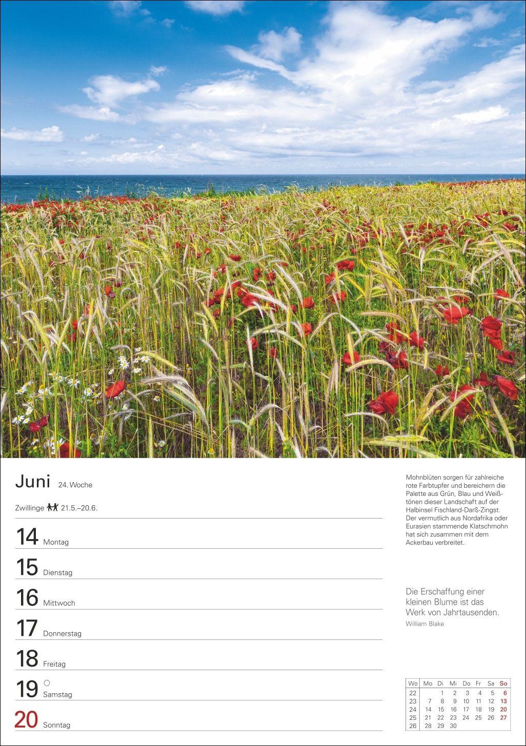 Beispielinhalt (Bild) Deutsche Küsten Wochenplaner 2027 - Eine Reise in 53 Bildern