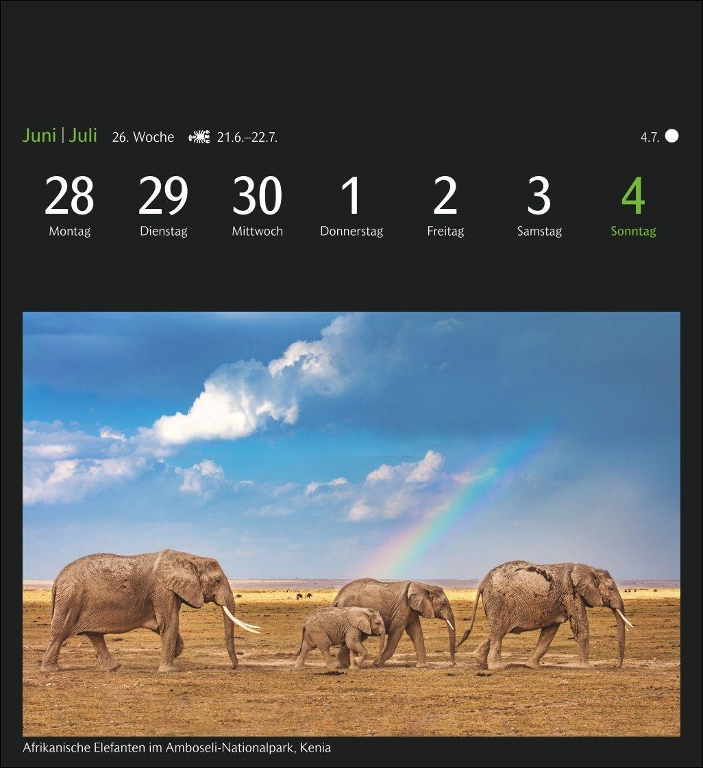 Beispielinhalt (Bild) GEO Ferne Horizonte Postkartenkalender 2027 - Wochenkalender mit 53 Postkarten