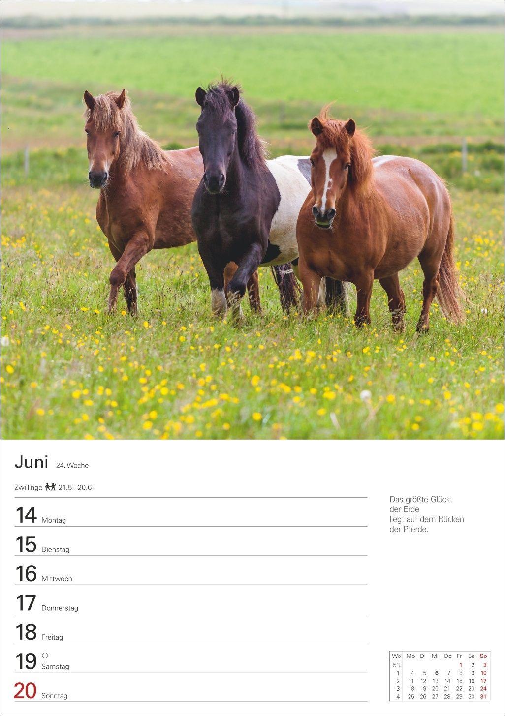 Beispielinhalt (Bild) Auf dem Lande Wochenplaner 2027 - 53 stimmungsvolle Fotografien