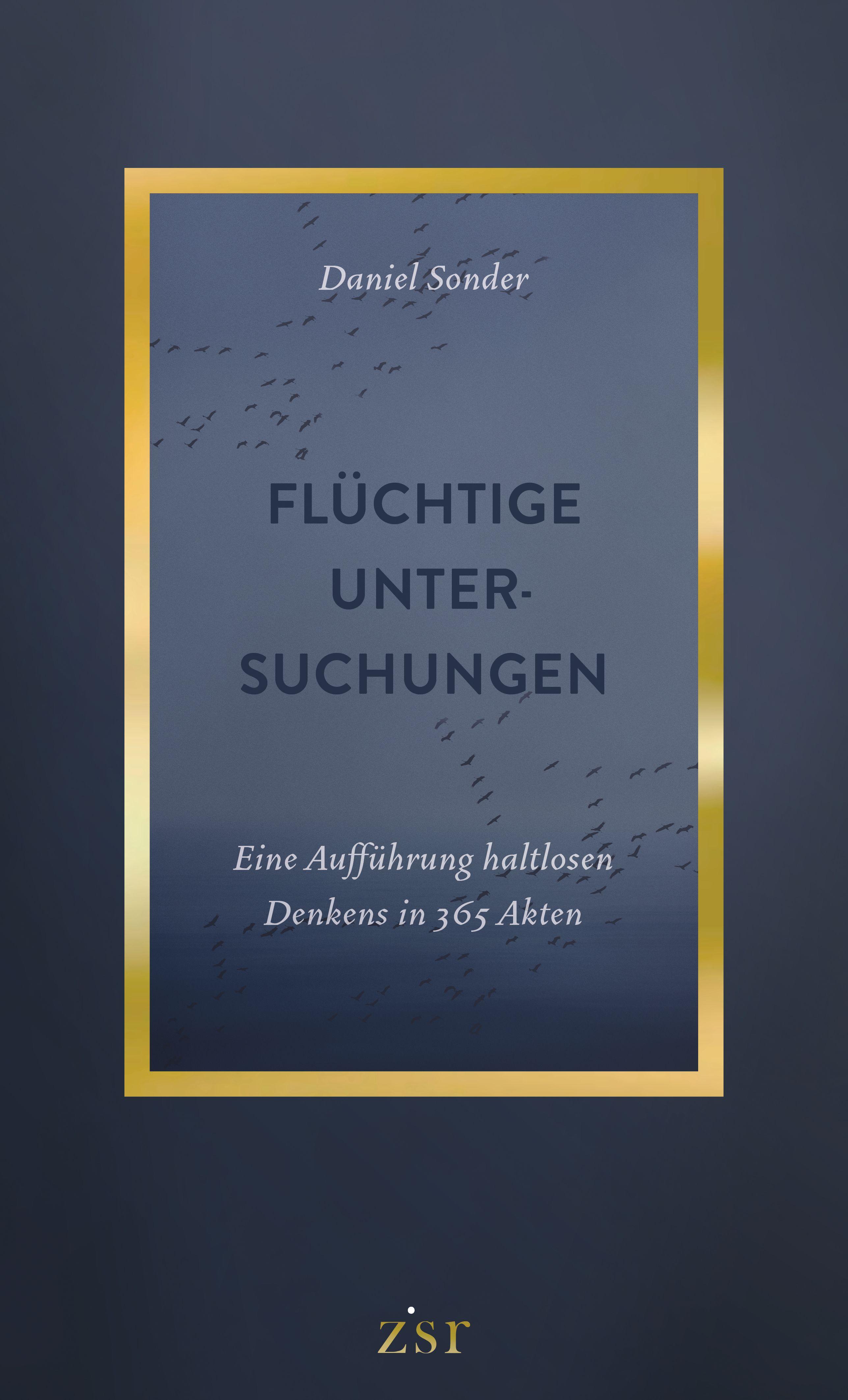 Vorderes Coverbild Flüchtige Untersuchungen