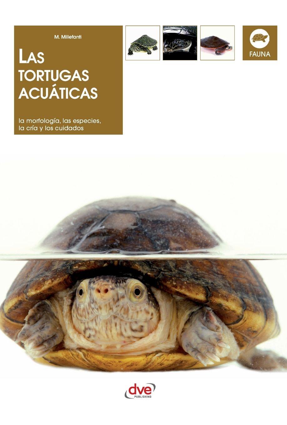 Vorderes Coverbild Las tortugas acuáticas