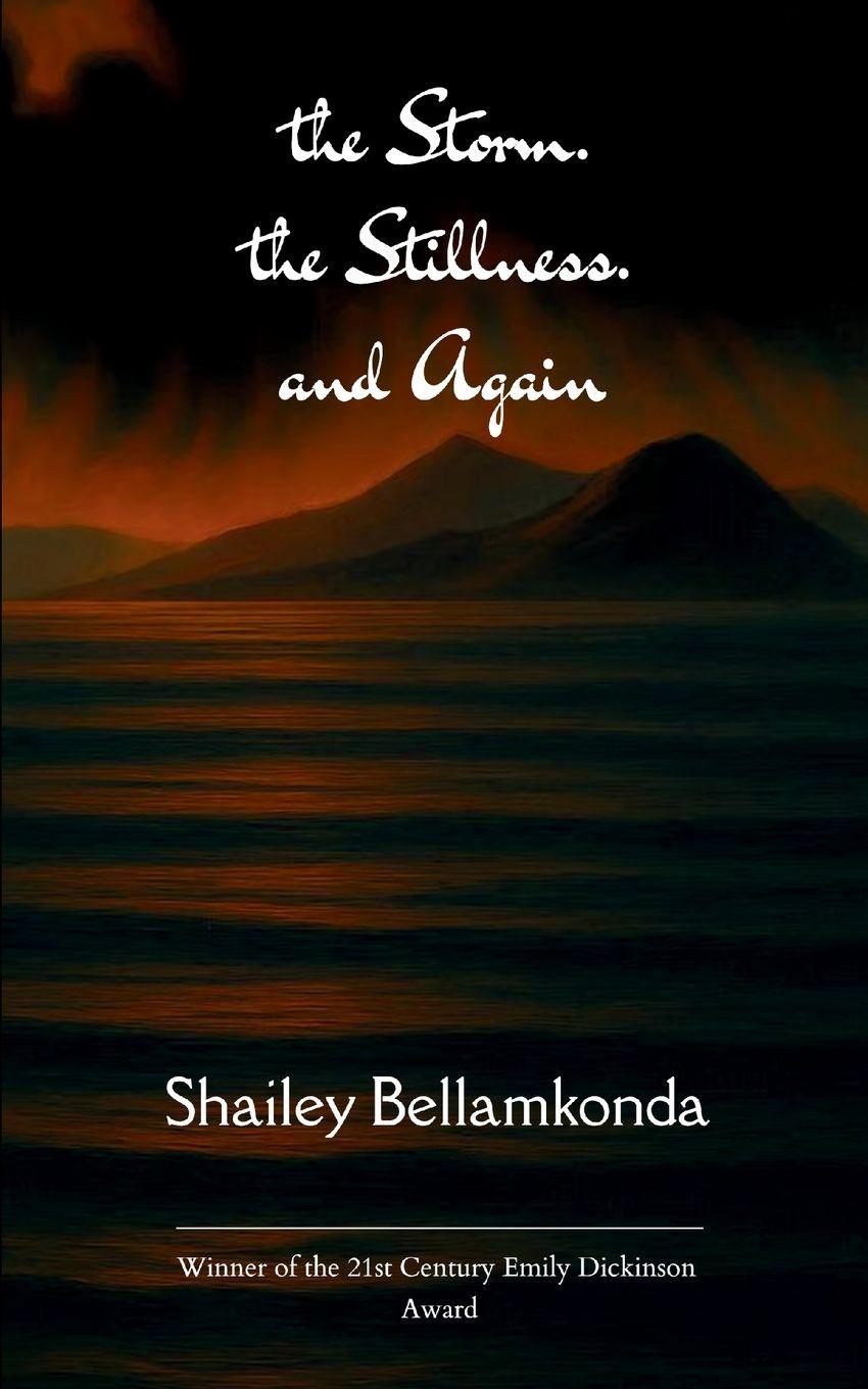 Vorderes Coverbild The Storm. The Stillness. And Again