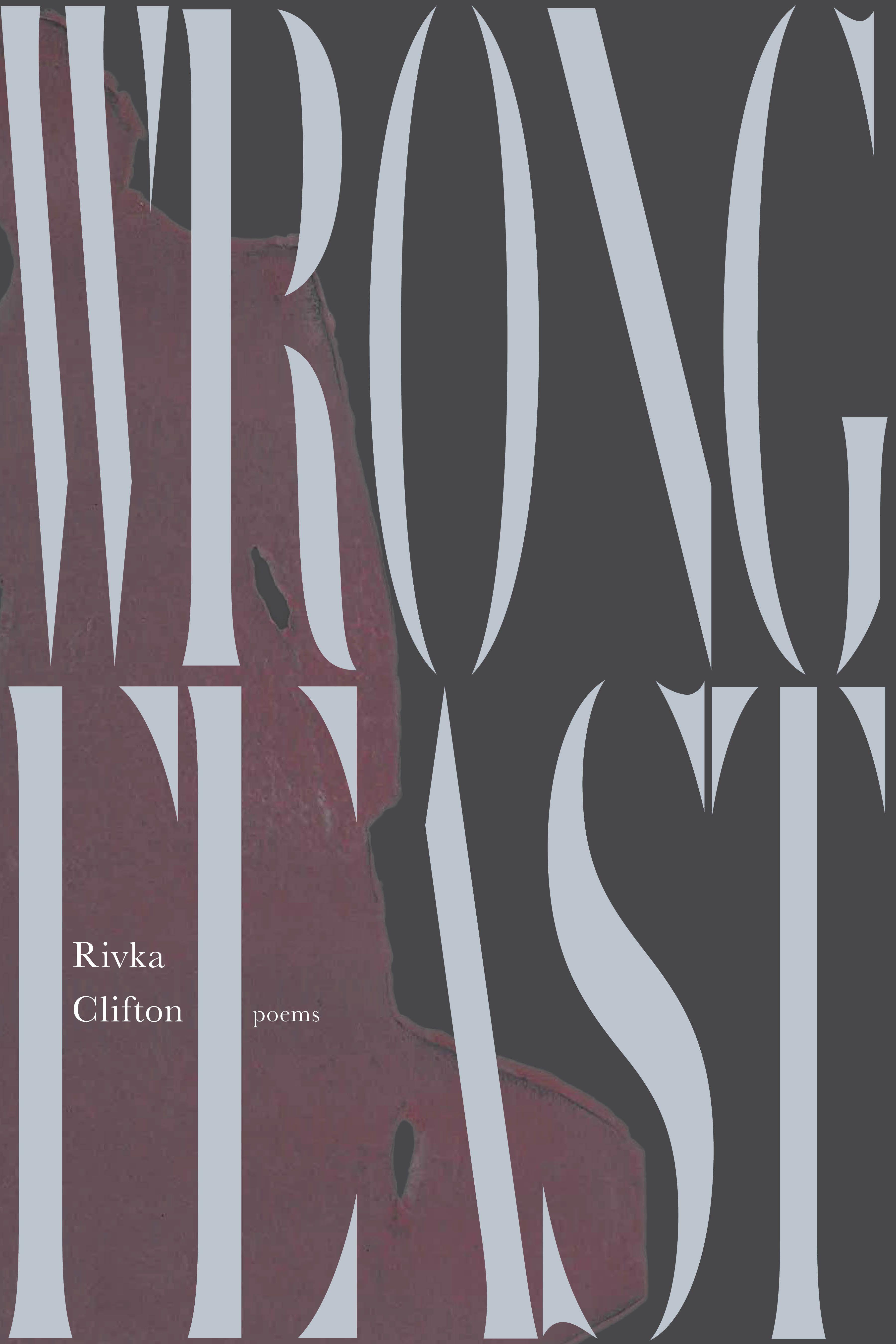 Vorderes Coverbild Wrong Feast